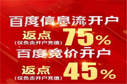 百度竞价广告投放案例解析